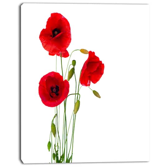Designart - Isolated Red Poppy Flowers